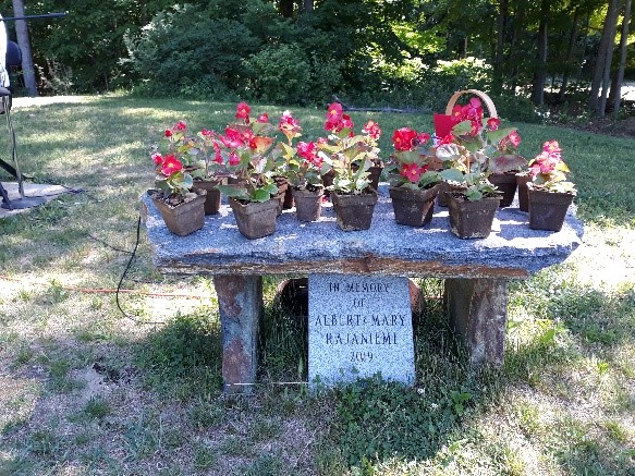 Children's Begonias atop Rajaniemi's Memorial Bench